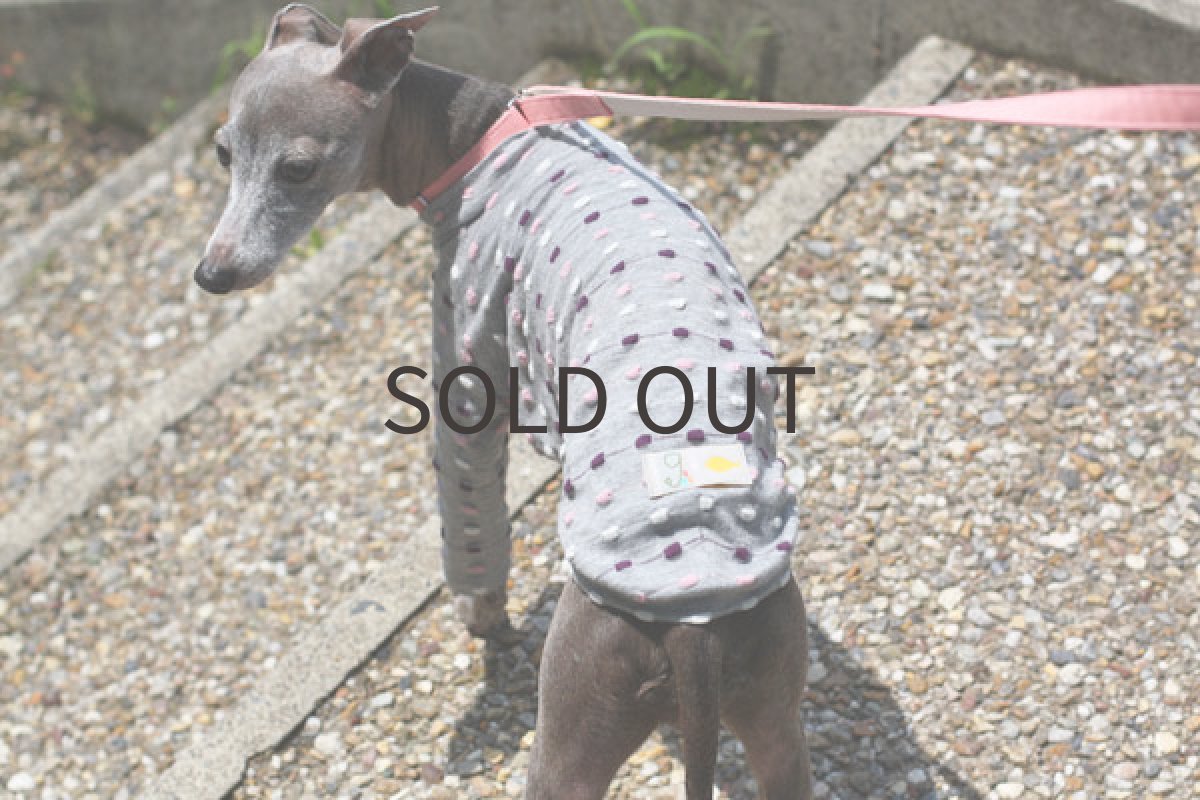 画像3: ブロックドットボーダー（パープル） (3)