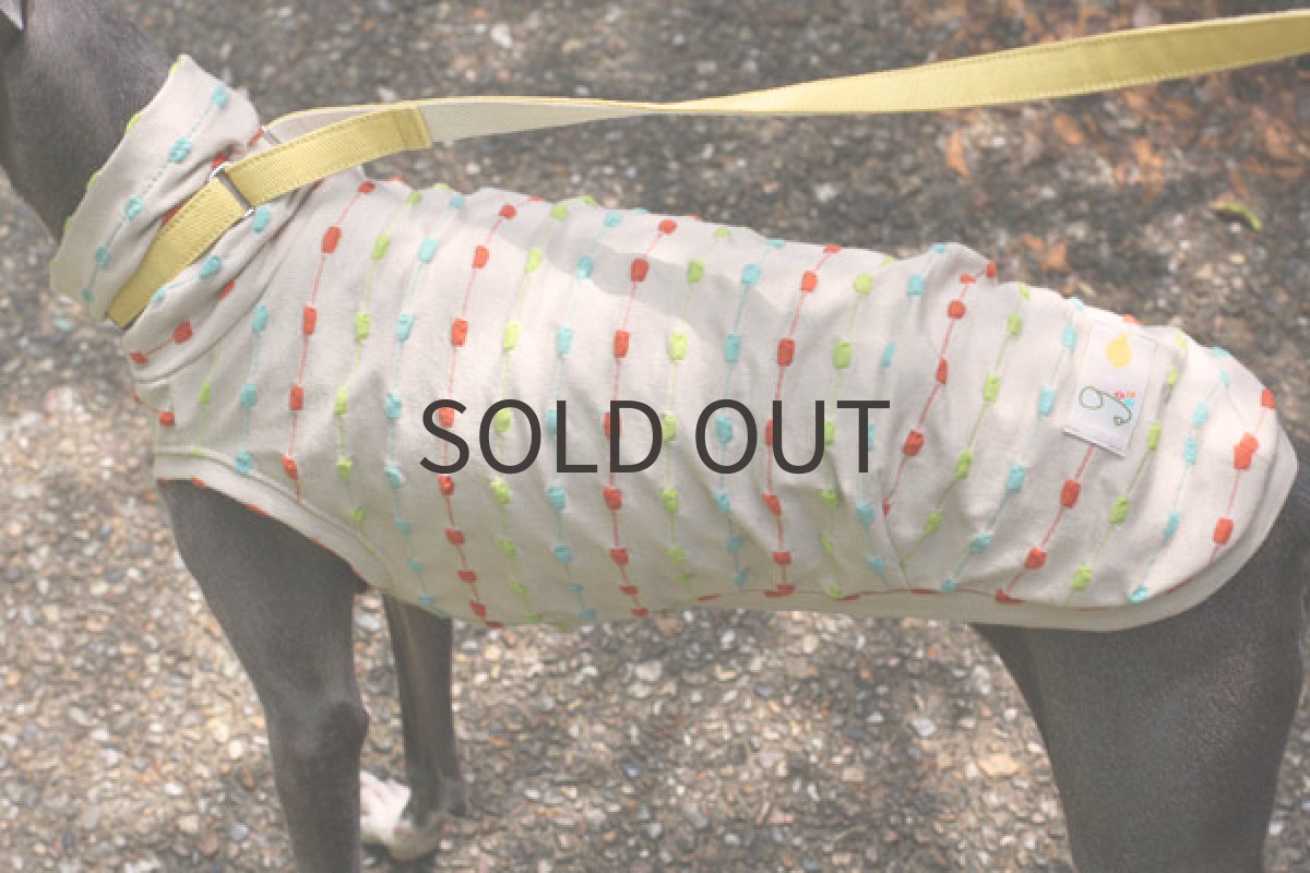 画像2: ブロックドットボーダー(ベージュ) (2)