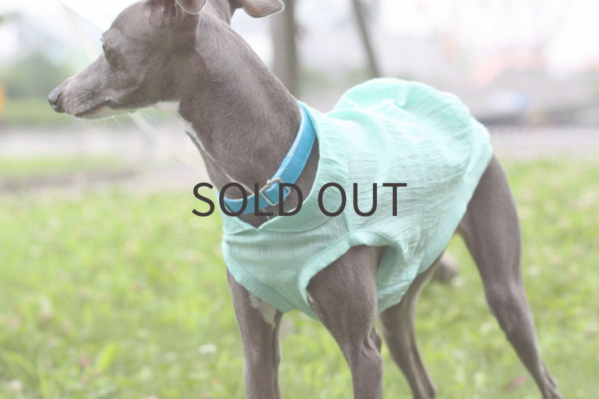 画像5: 手もみ麻のサマーシャツ(パステルグリーン) (5)