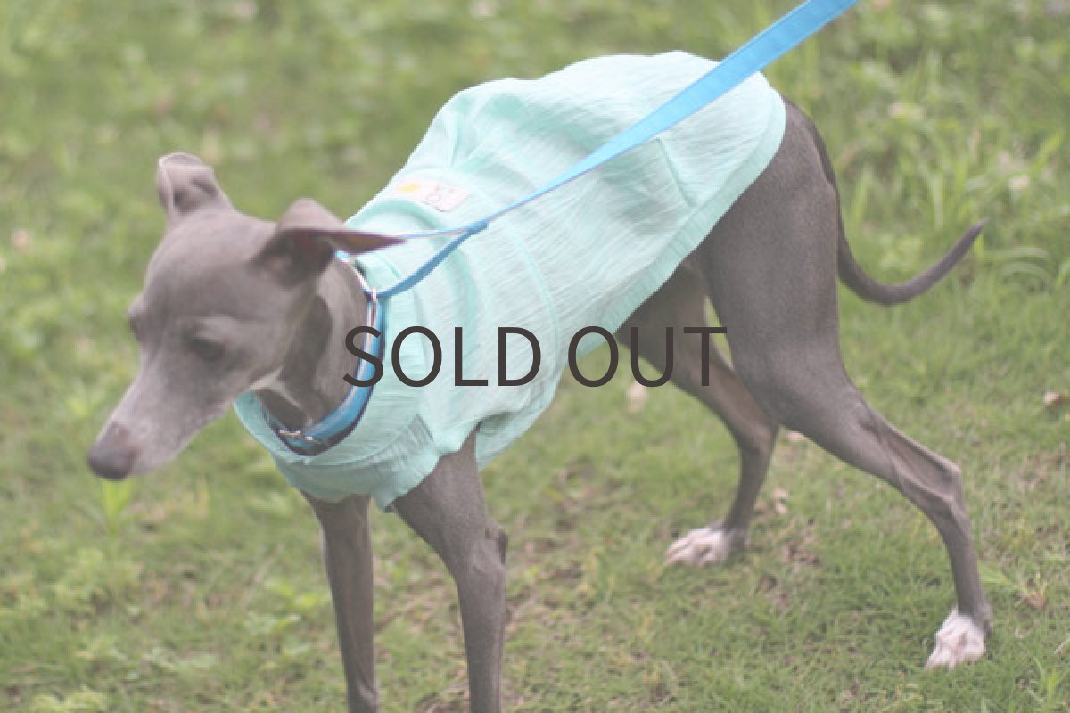 画像4: 手もみ麻のサマーシャツ(パステルグリーン) (4)