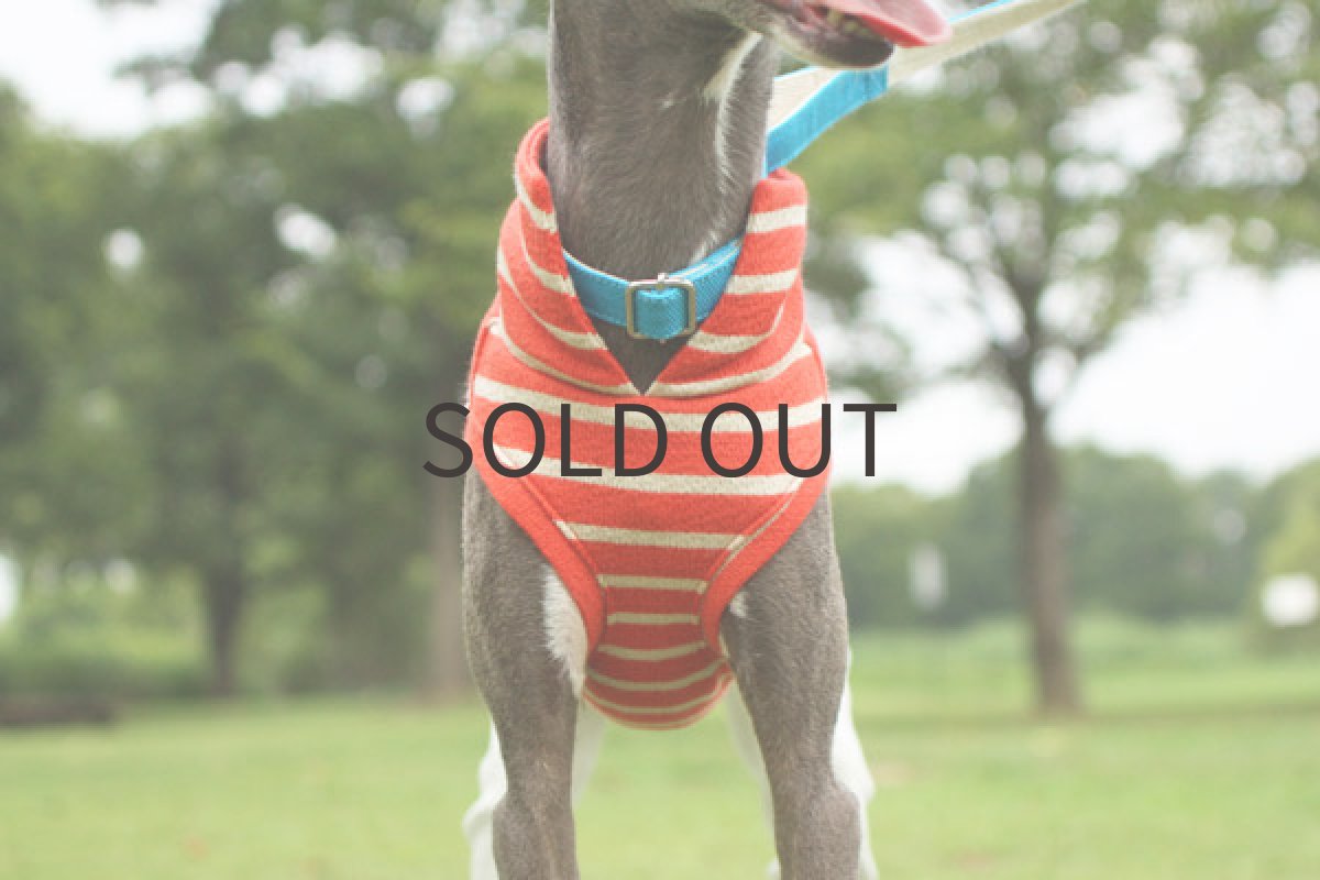 画像4: タイトパンツ×ぽこぽこ天竺（オレンジ） (4)