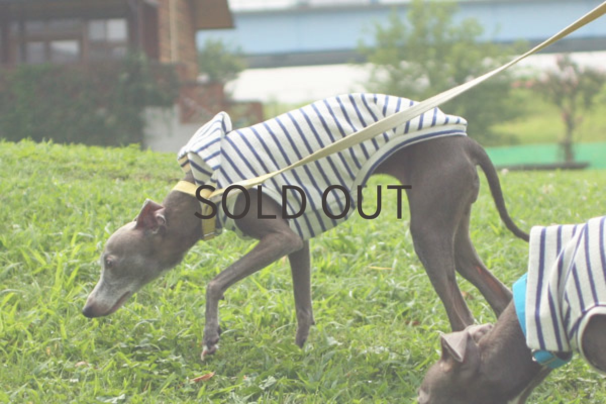 画像2: パイル地みたいな天竺ボーダー（ブルー） (2)