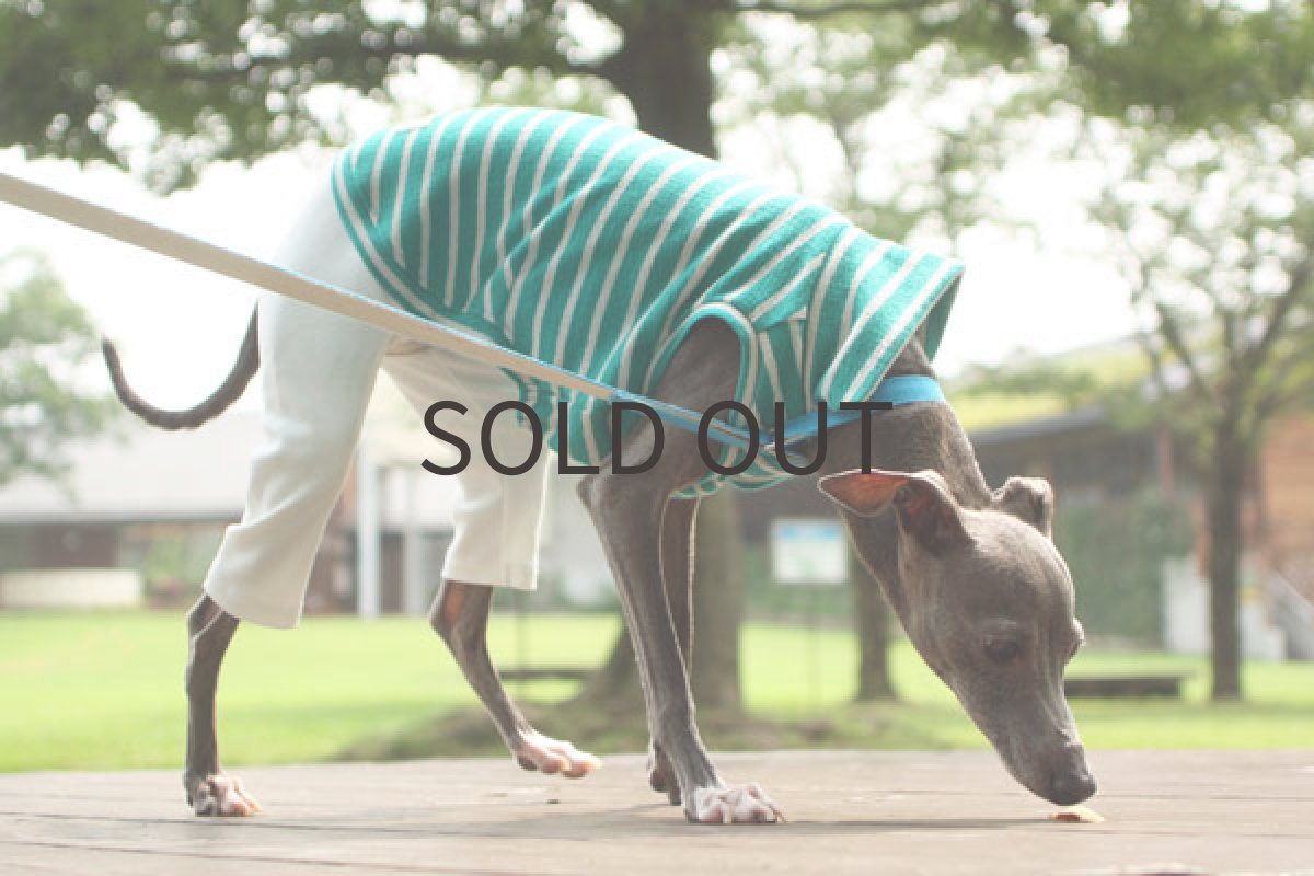 画像3: タイトパンツ×ぽこぽこ天竺（グリーン） (3)