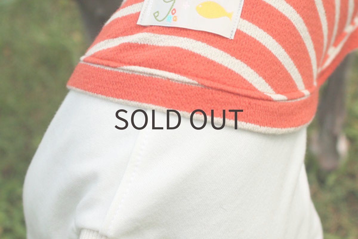 画像5: タイトパンツ×ぽこぽこ天竺（オレンジ） (5)