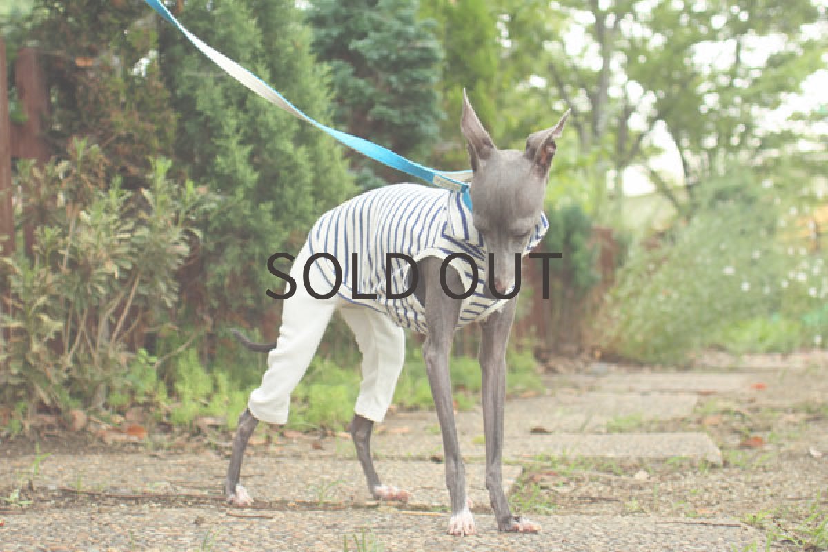 画像3: タイトパンツ×ぽこぽこ天竺（ブルー） (3)