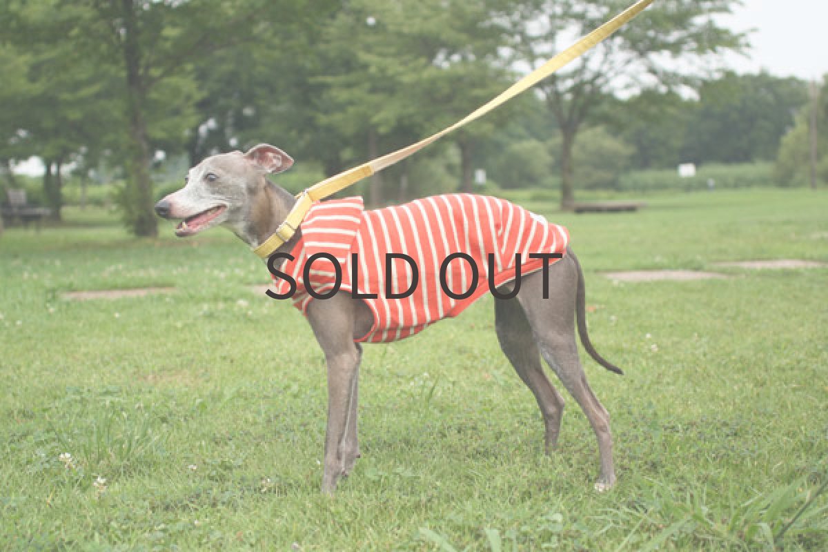 画像3: パイル地みたいな天竺ボーダー（オレンジ） (3)