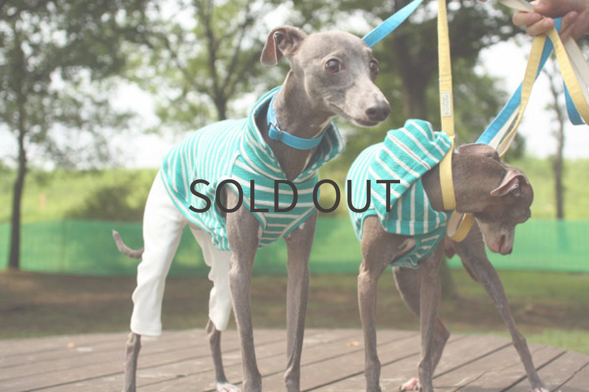 画像2: タイトパンツ×ぽこぽこ天竺（グリーン） (2)