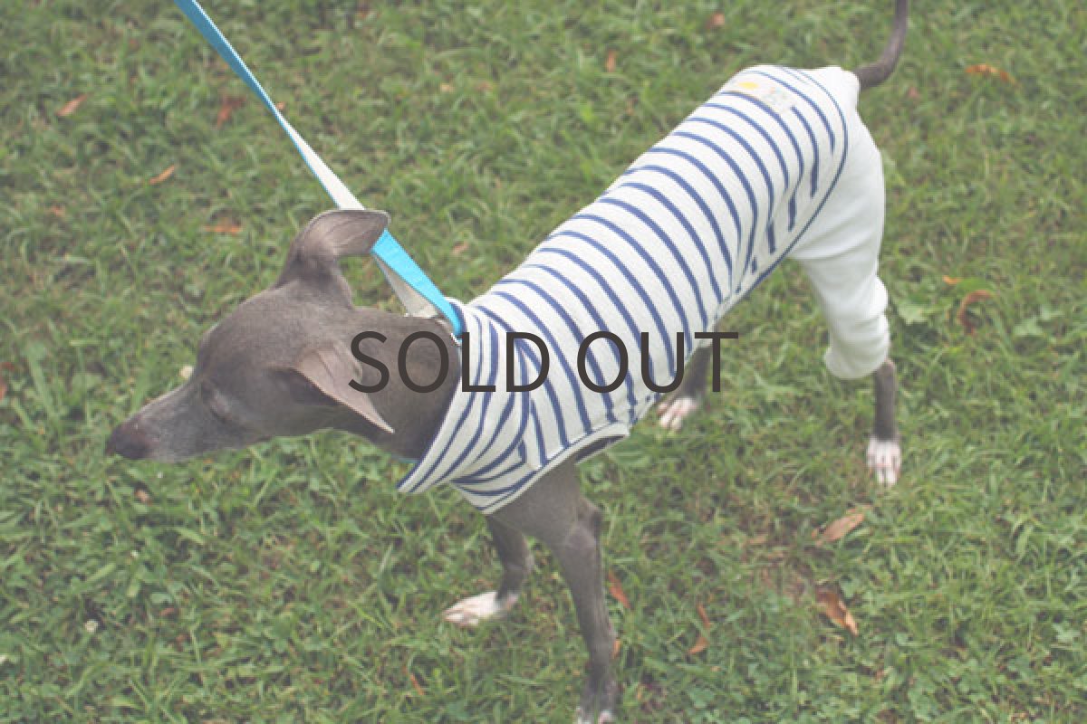 画像5: タイトパンツ×ぽこぽこ天竺（ブルー） (5)