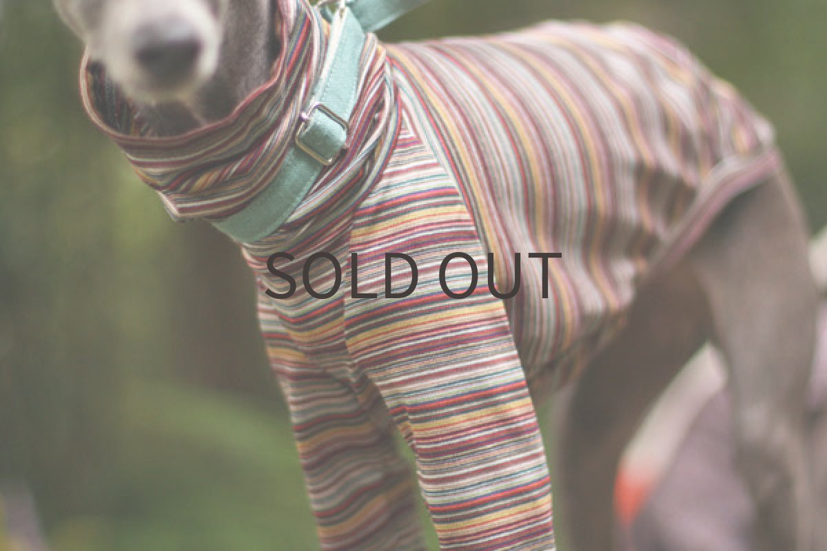 画像4: ミジンボーダー（イエロー） (4)