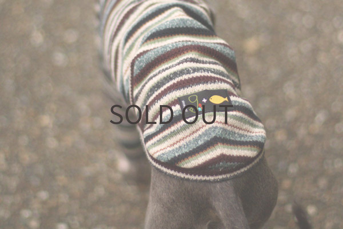 画像3: ジャズジャガード（ブルー） (3)