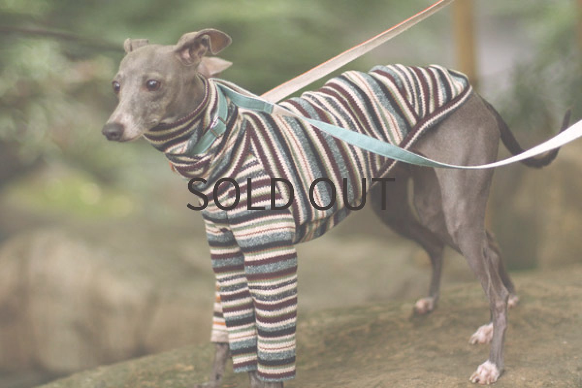 画像4: ジャズジャガード（ブルー） (4)