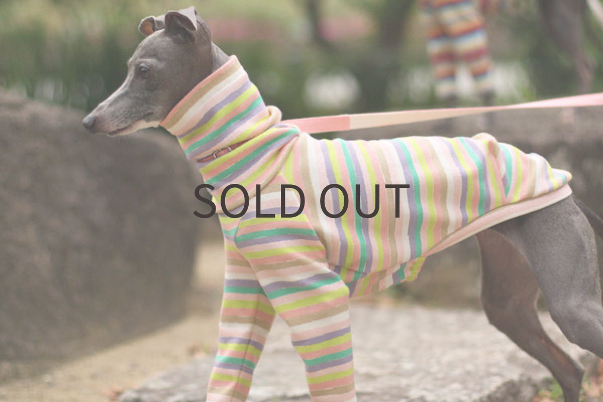 画像4: リボンボーダー（パステル） (4)