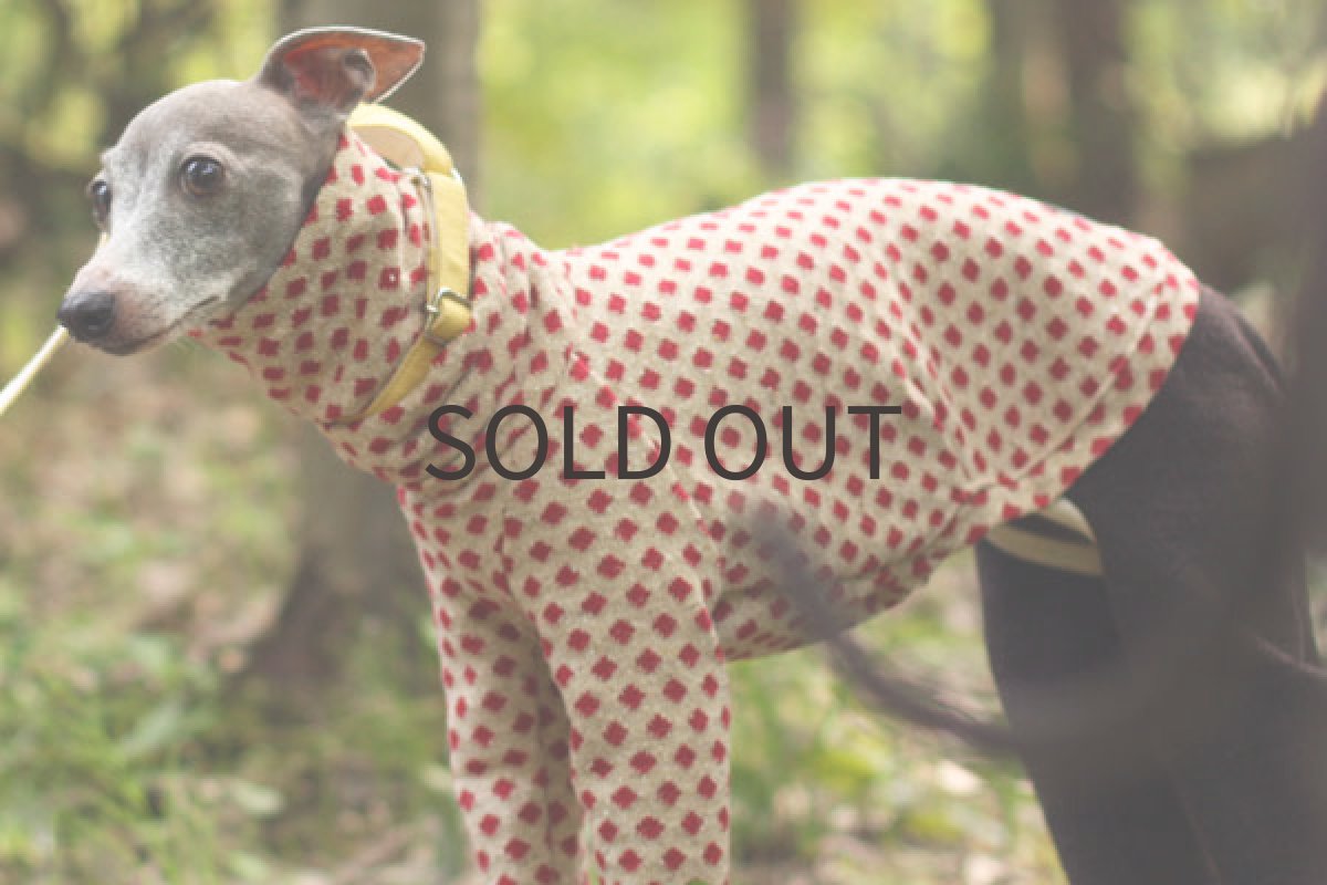 画像3: レッドダイヤのドットロンパ (3)