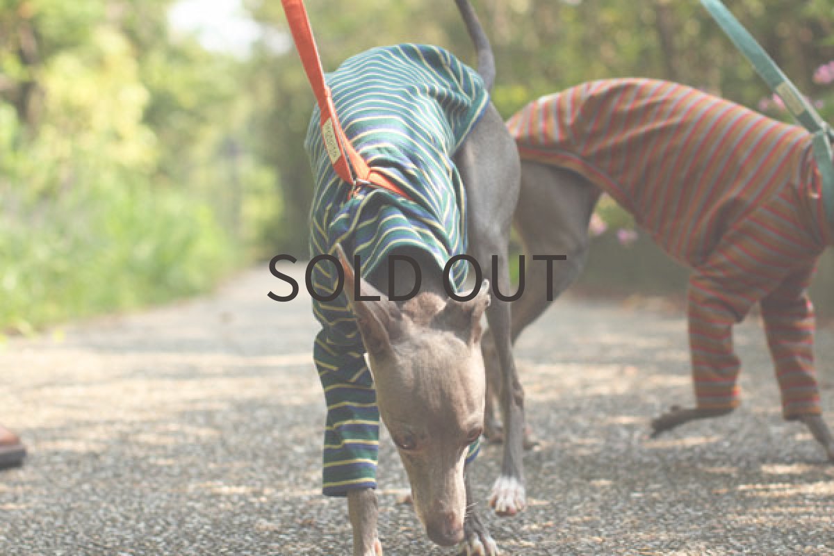 画像3: リーフボーダー (3)