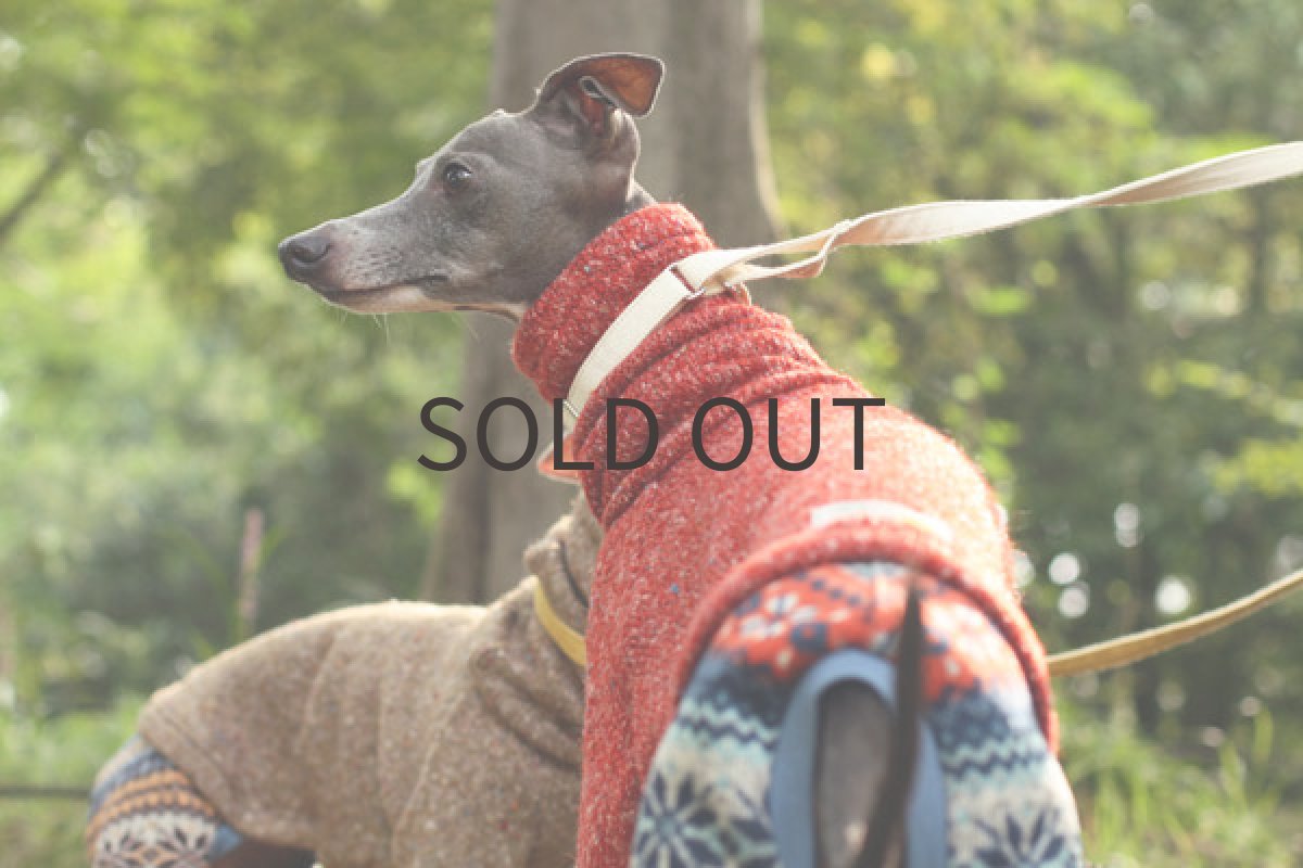 画像2: カラーネップのロンパース（オレンジレッド） (2)