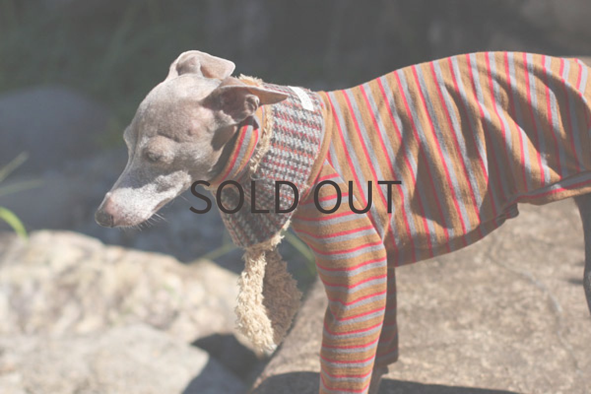 画像4: スコッチツイードのマフラー (4)