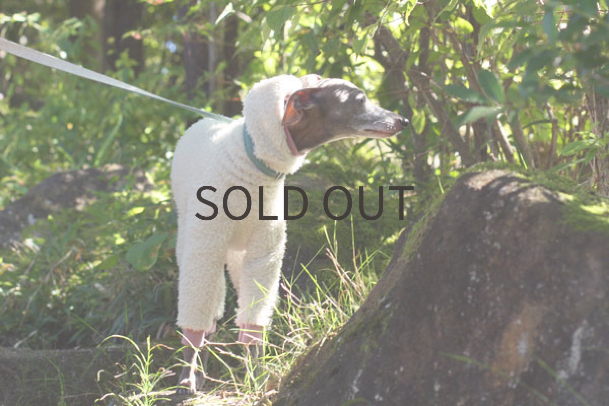 画像4: フワボアフリース（アイボリー） (4)