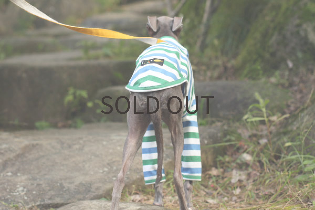 画像4: ソーダボーダー (4)