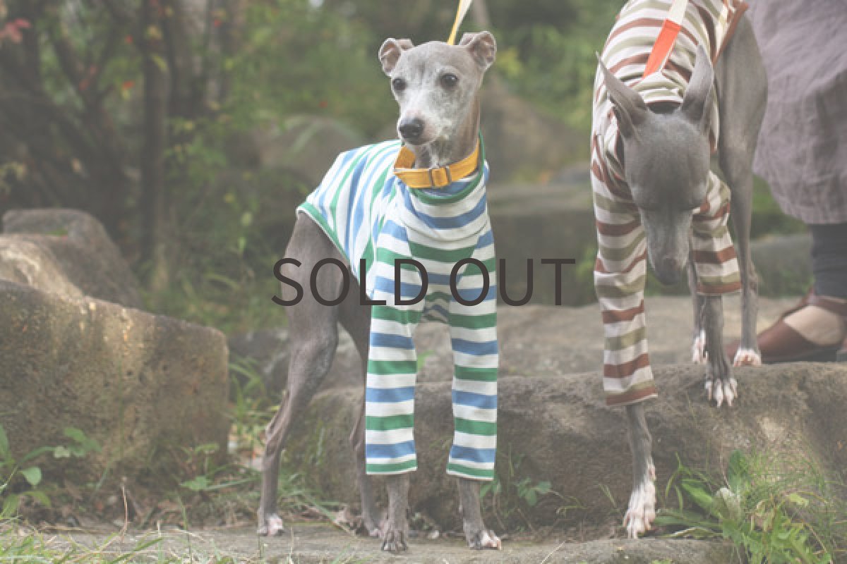 画像2: ソーダボーダー (2)