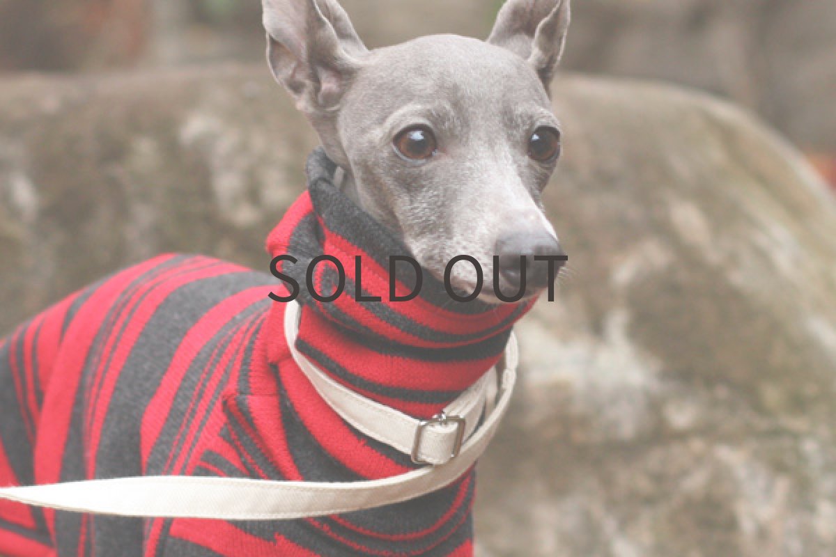 画像4: 裏起毛ボーダーとキルトパンツ (4)