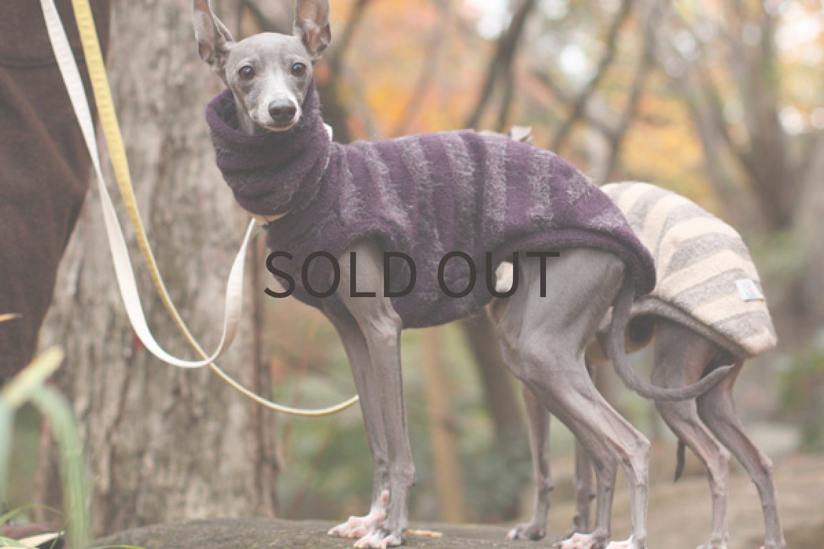 画像3: ベリーナパイルのルームウェア(パープル) (3)