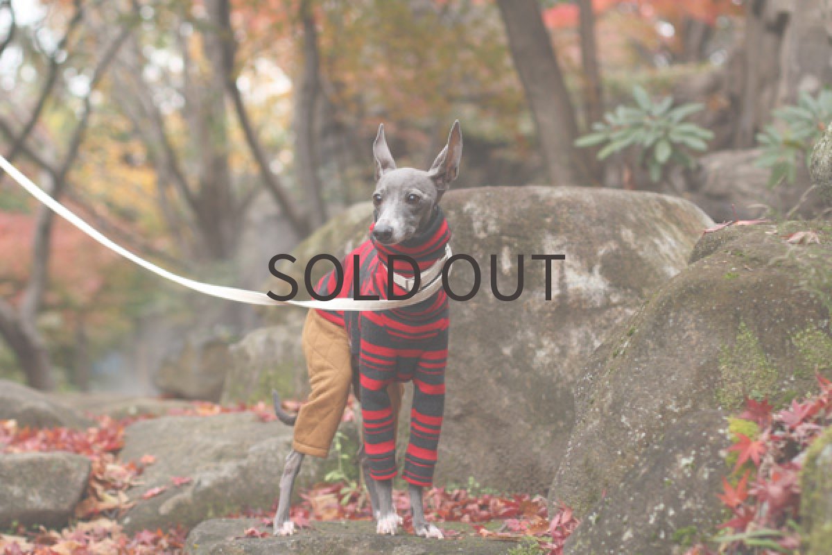 画像5: 裏起毛ボーダーとキルトパンツ (5)