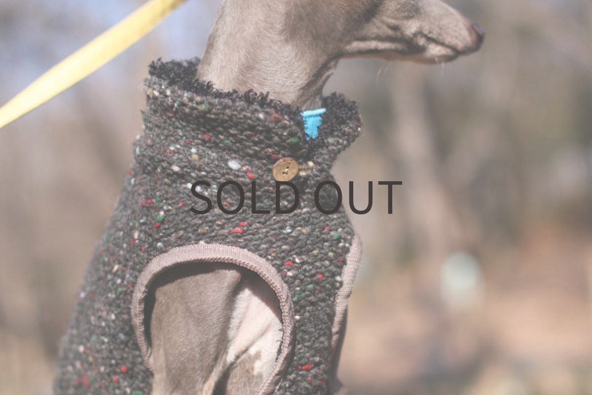 画像5: 裏全面ファーのポコポコベスト（ブラック） (5)