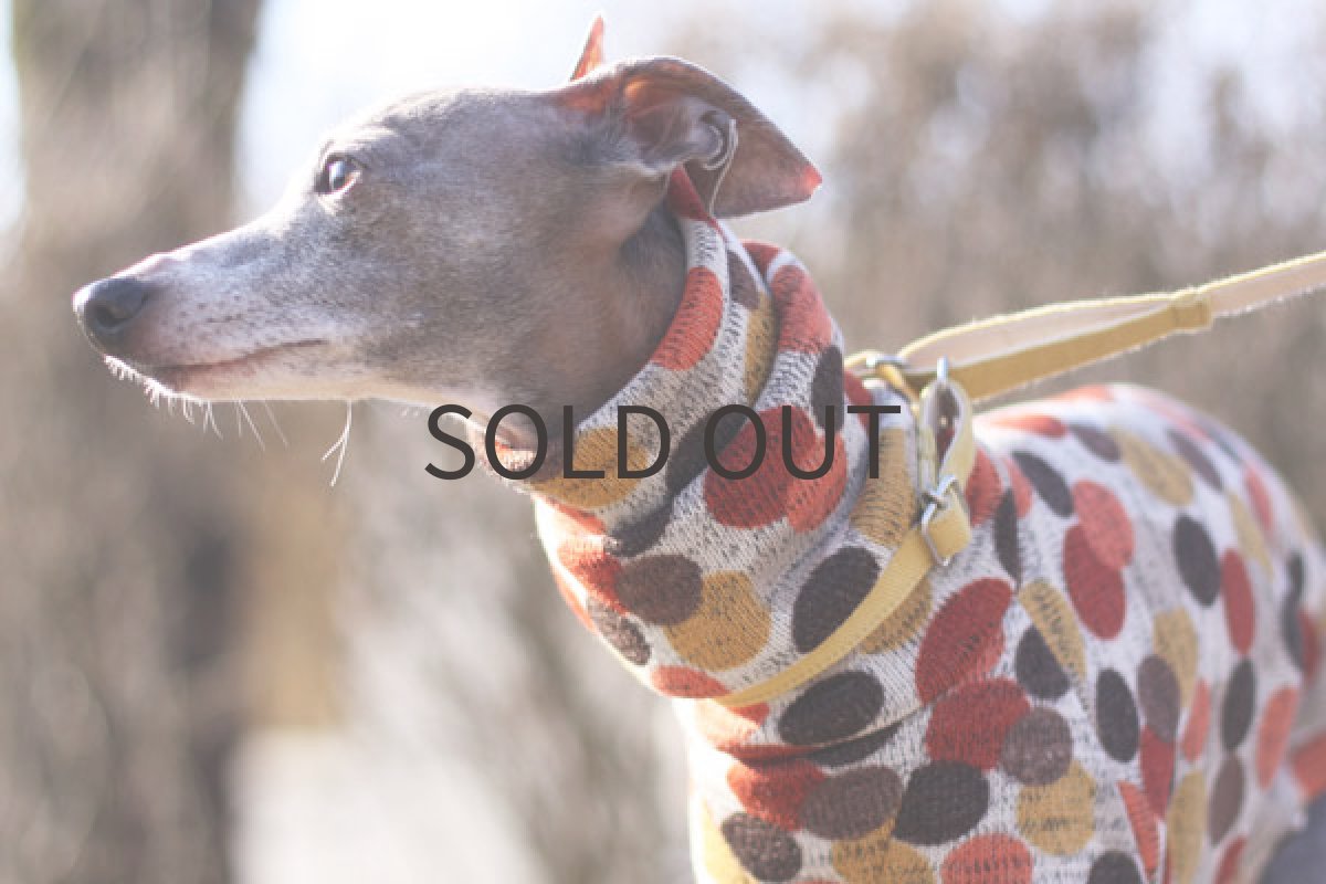 画像2: バルーンドットのロンパ（オレンジ） (2)