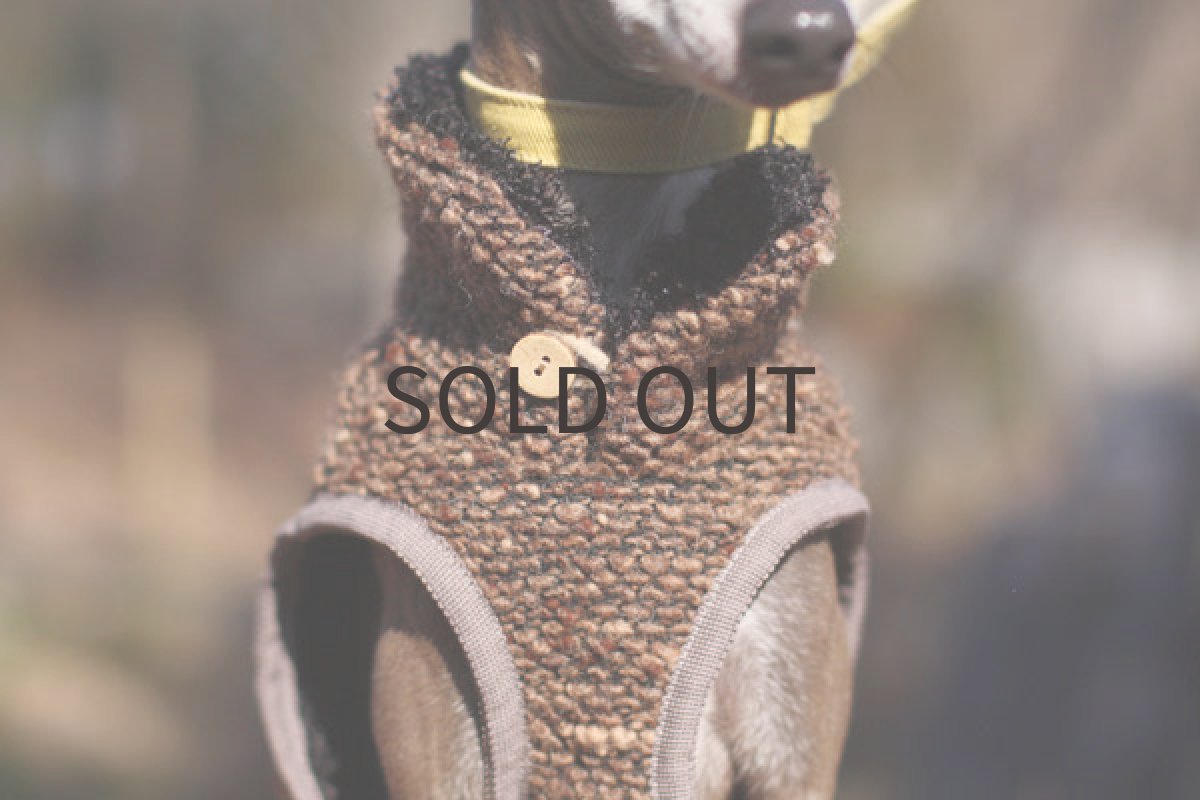 画像5: 裏全面ファーのポコポコベスト（ブラウン） (5)