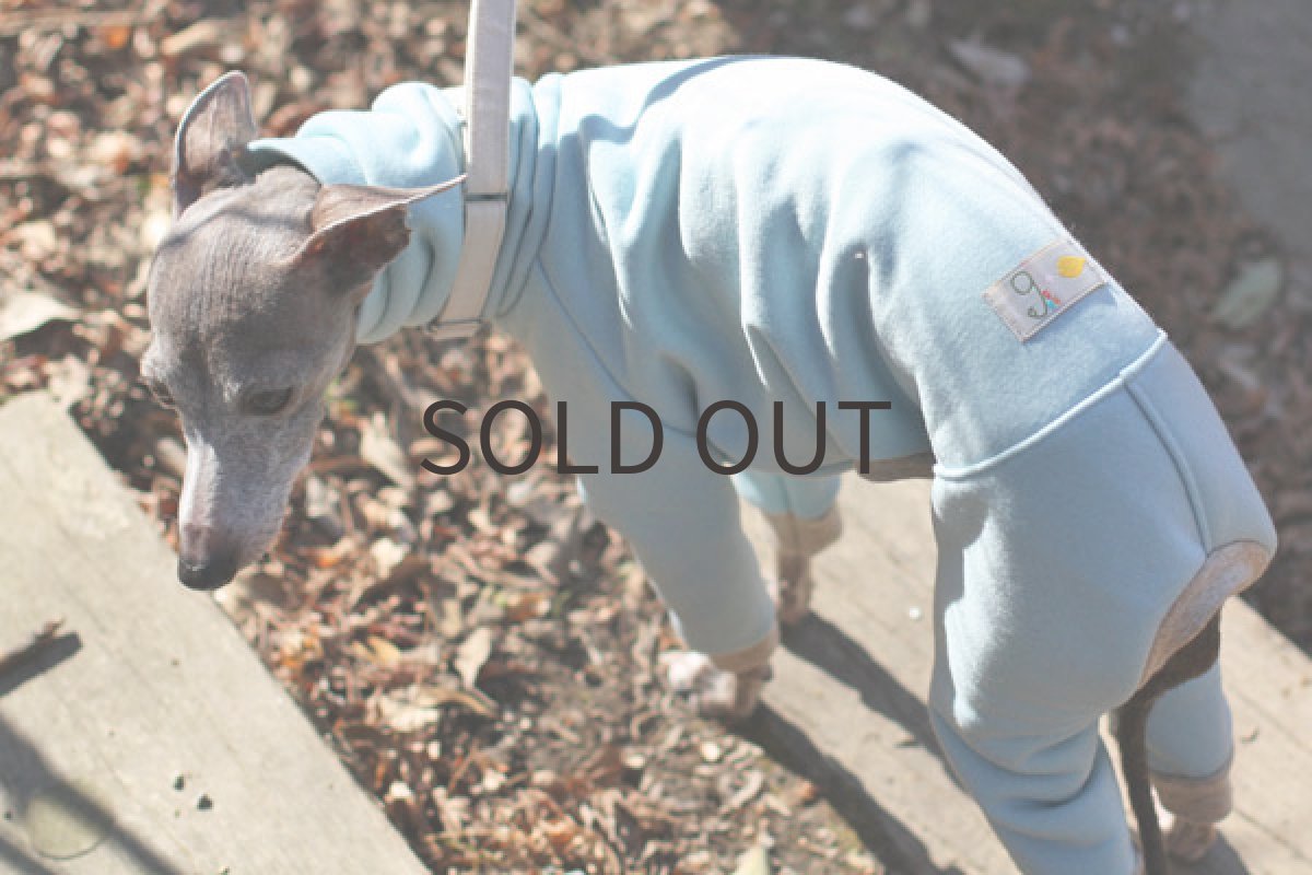 画像4: 裏起毛のトレーナーロンパ（みずいろ） (4)