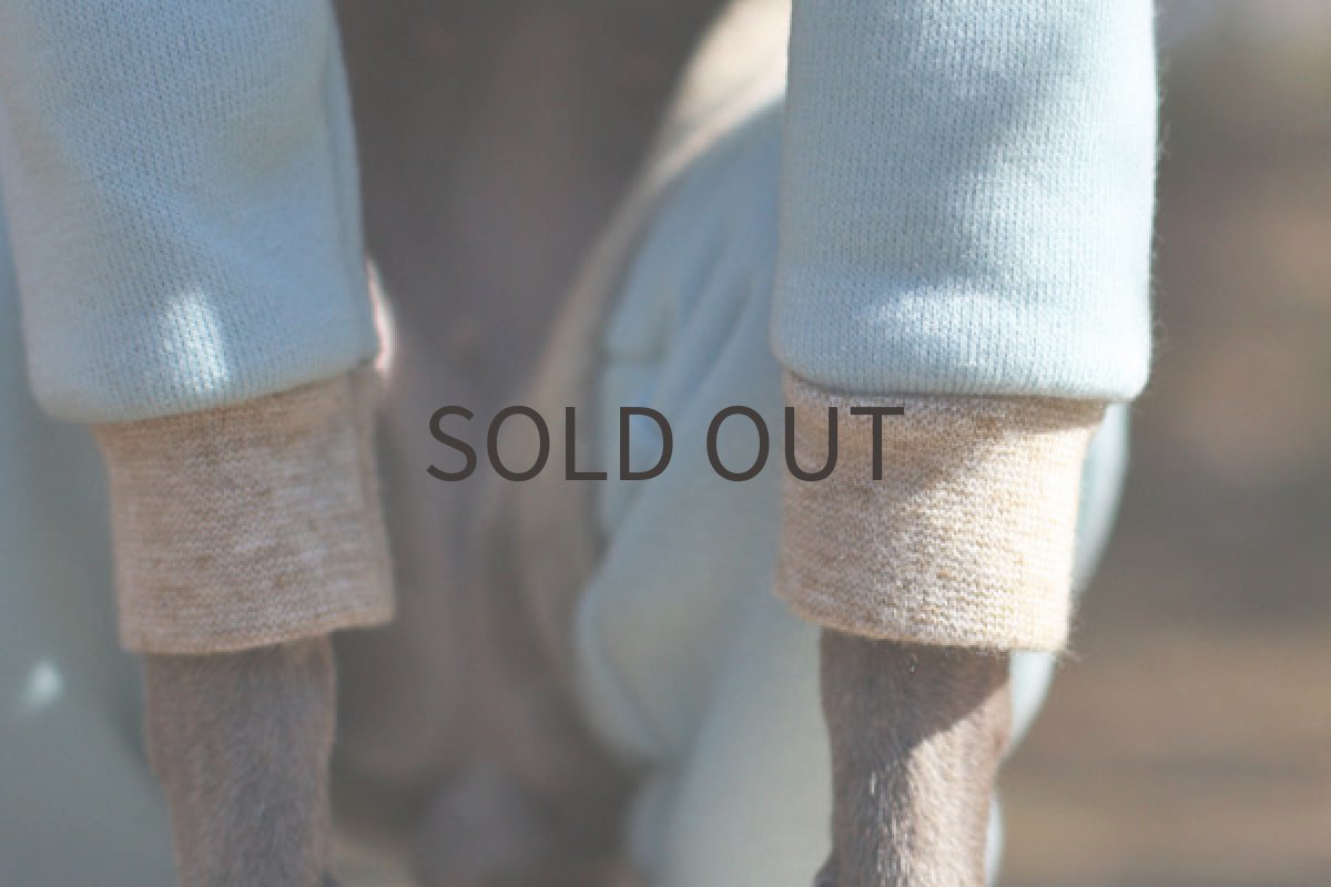 画像3: 裏起毛のトレーナーロンパ（みずいろ） (3)