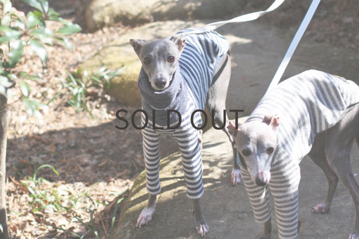 画像3: やわらか接結ボーダー（ネイビー） (3)