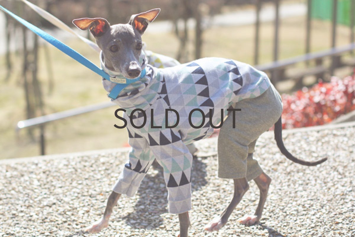 画像2: ミントブルーの三角ロンパ (2)