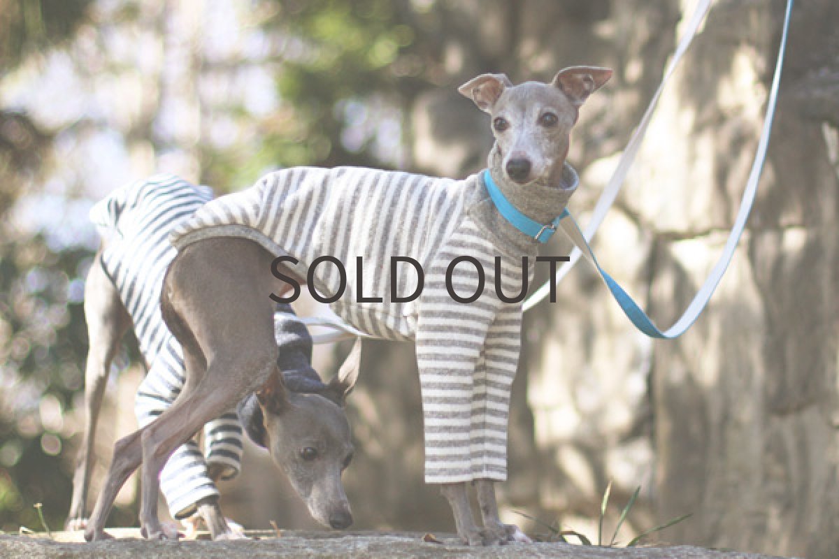 画像4: やわらか接結ボーダー（グレー） (4)