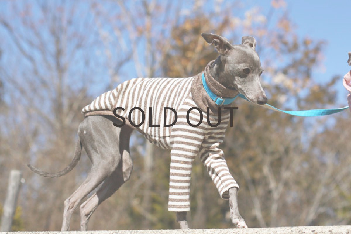 画像3: やわらか接結ボーダー（ショコラ） (3)