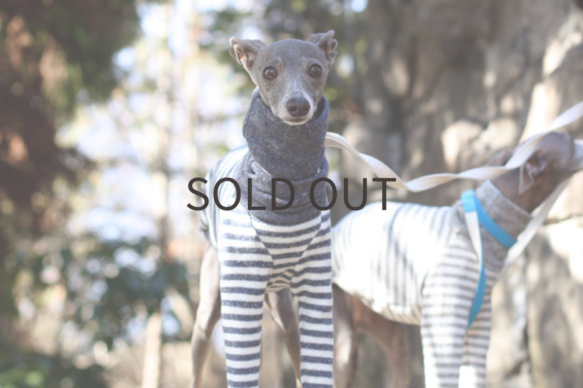 画像4: やわらか接結ボーダー（ネイビー） (4)