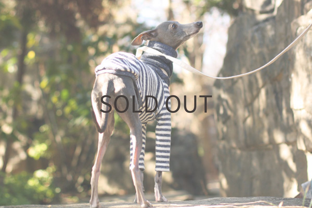 画像2: やわらか接結ボーダー（ネイビー） (2)