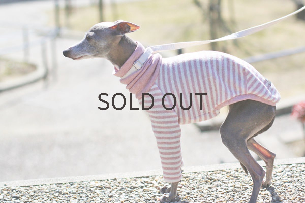 画像4: やわらか接結ボーダー（いちご） (4)