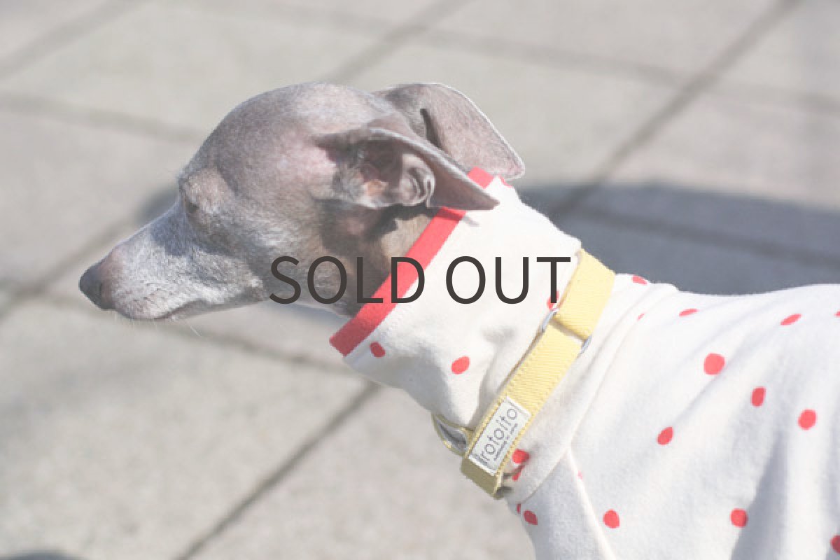 画像5: 手書き風ドットのロンパ（レッド） (5)