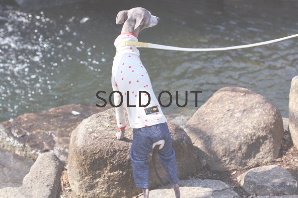 画像3: 手書き風ドットのロンパ（レッド） (3)