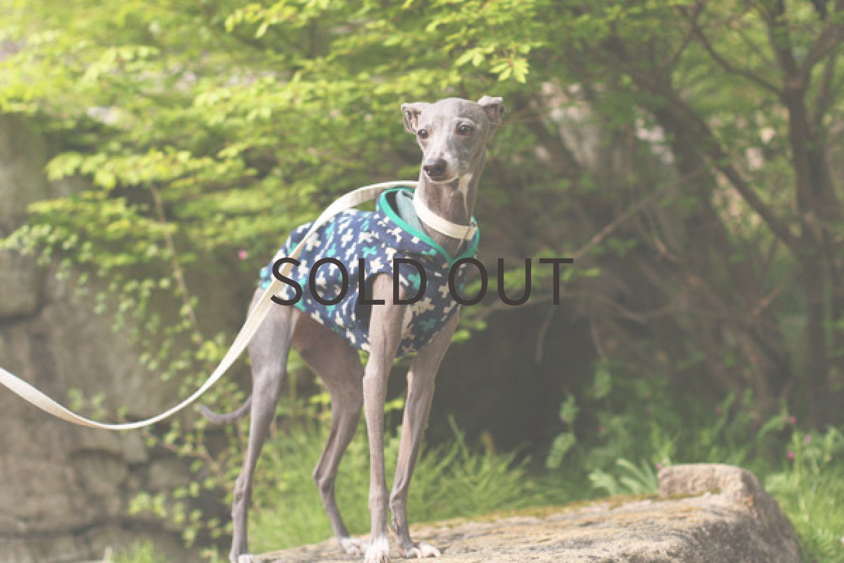 画像3: cross クロス（ネイビー） (3)