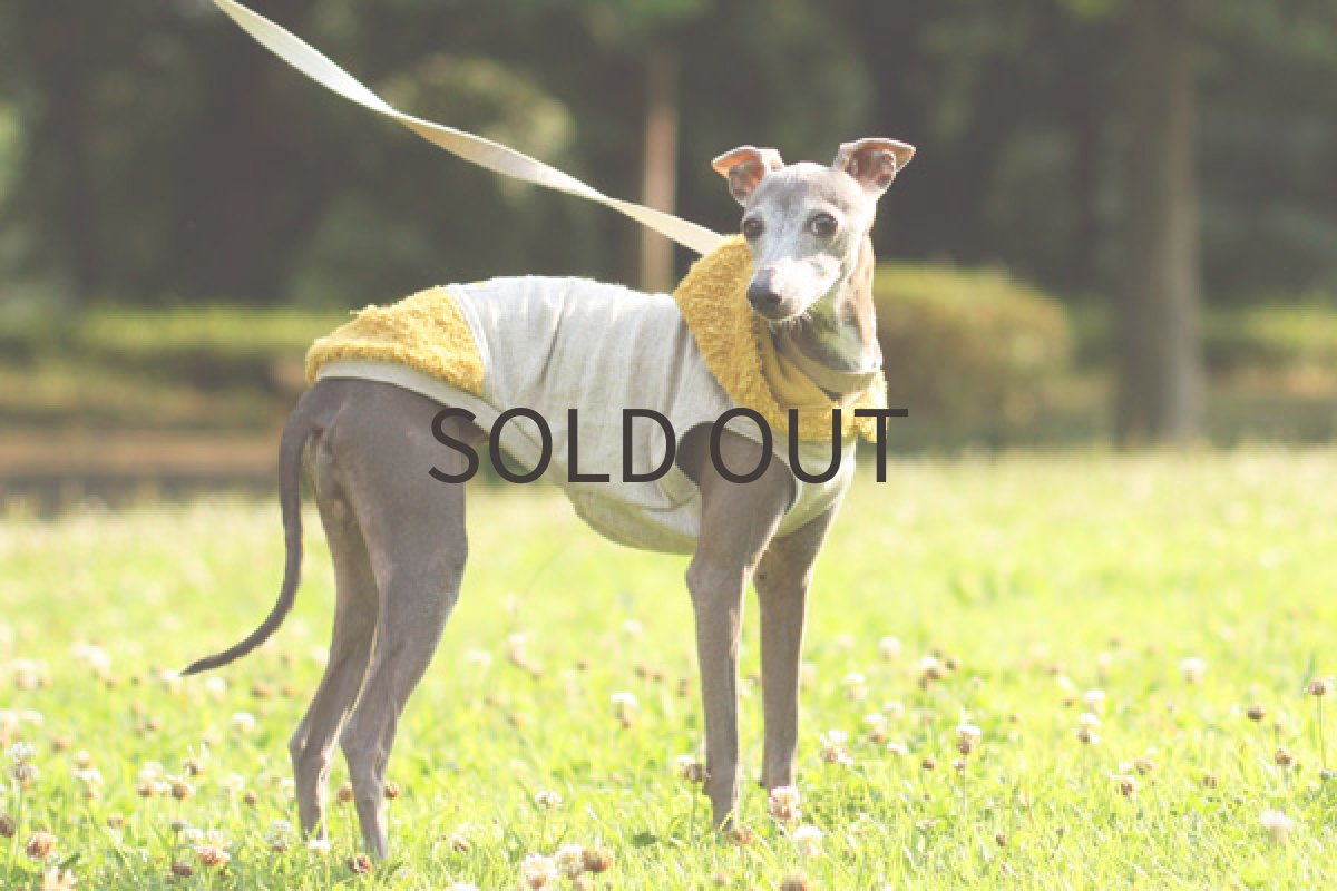 画像5: ひまわりパイル (5)