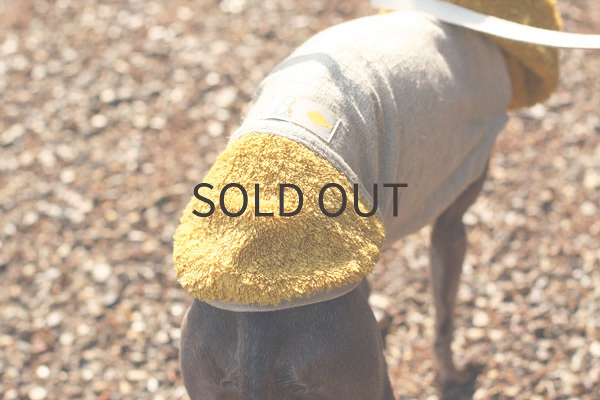 画像4: ひまわりパイル (4)