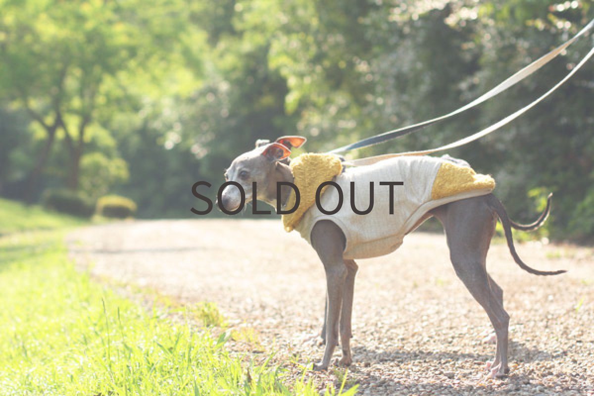 画像3: ひまわりパイル (3)