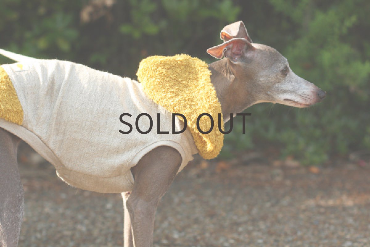 画像2: ひまわりパイル (2)