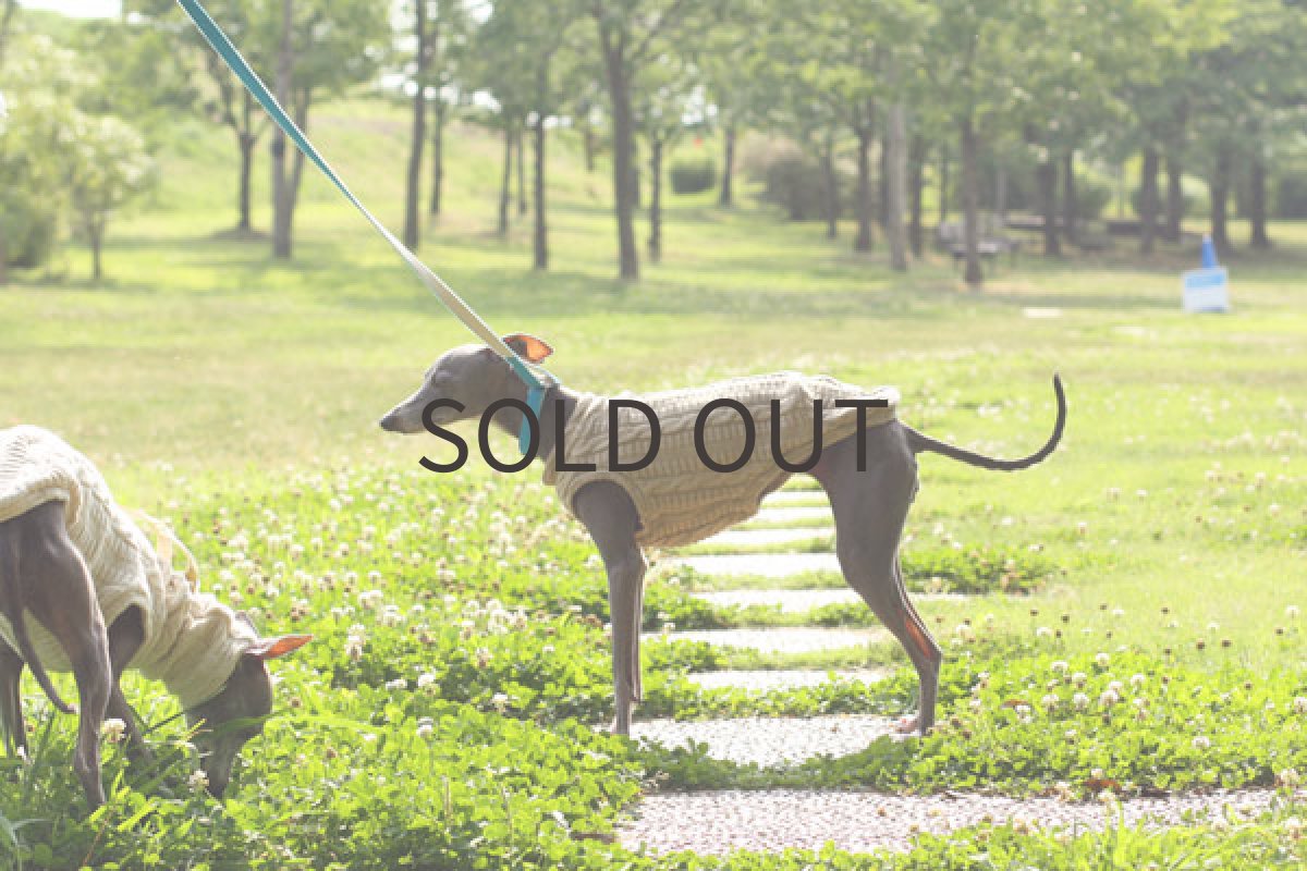 画像4: コットン100%のアラン(ベージュ) (4)