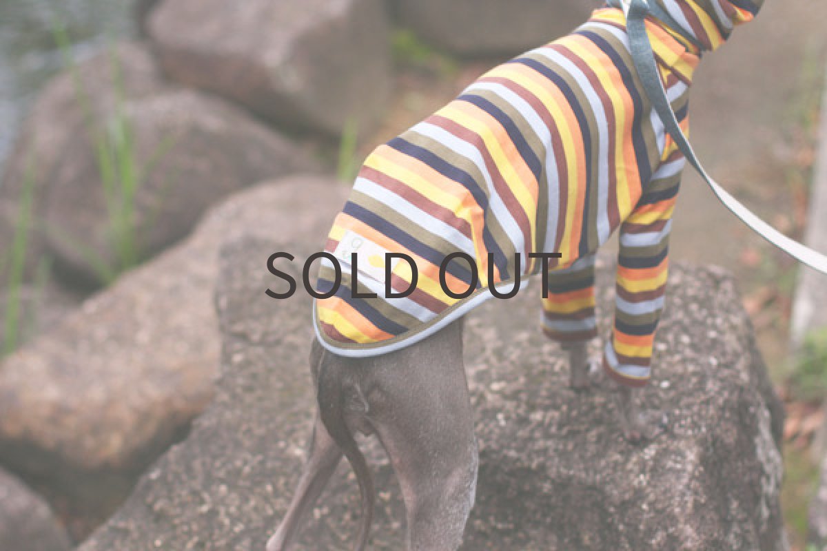 画像5: マルチカラー（ウッド） (5)