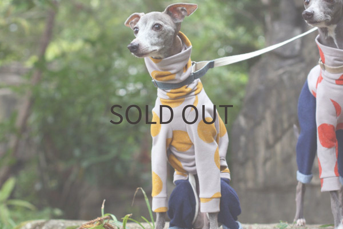 画像4: クレヨンドットのロンパース（イエロー） (4)