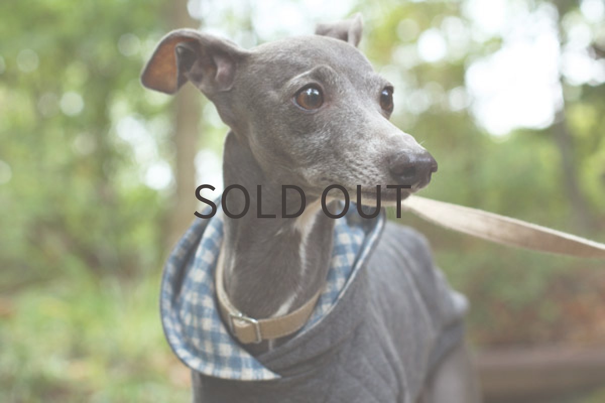 画像5: キルト重ね着風チェック（ブルー） (5)