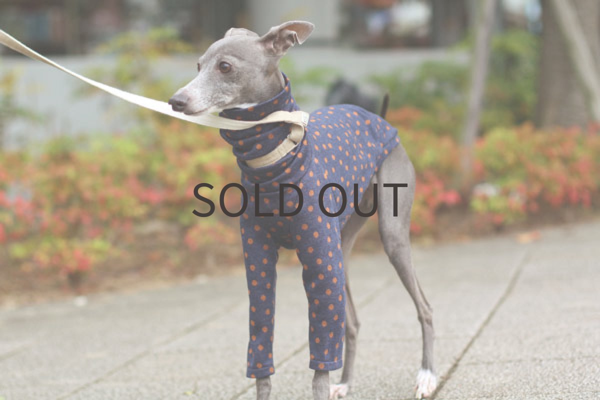 画像4: W混の水玉カットソー（パンプキン） (4)